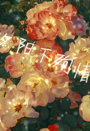 夕阳下殉情封面