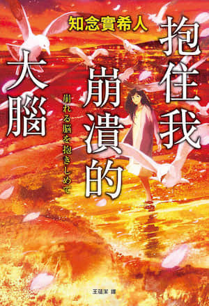 抱住我崩溃的大脑封面
