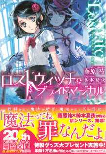 失落魔法·魔法新娘封面