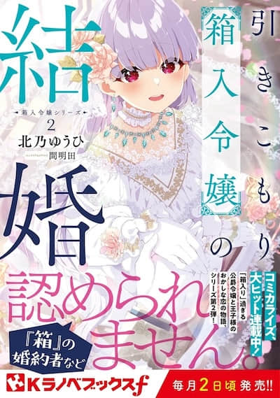 家里蹲箱房千金成亲记封面