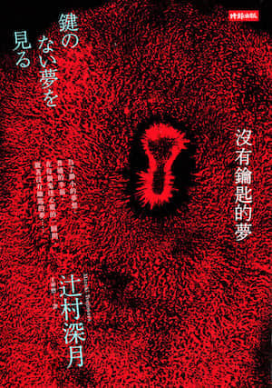 没有钥匙的梦封面