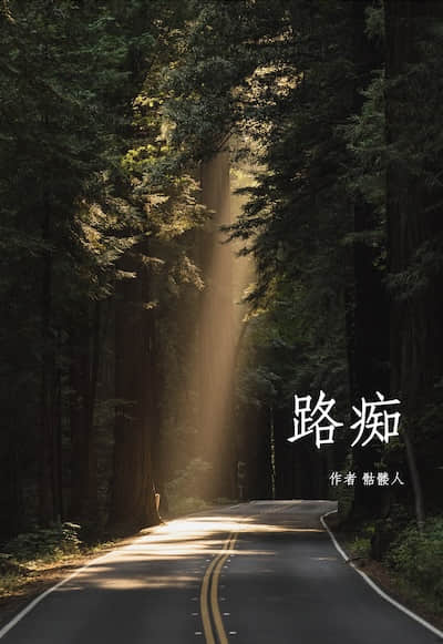 路痴 | Helter Skelter封面