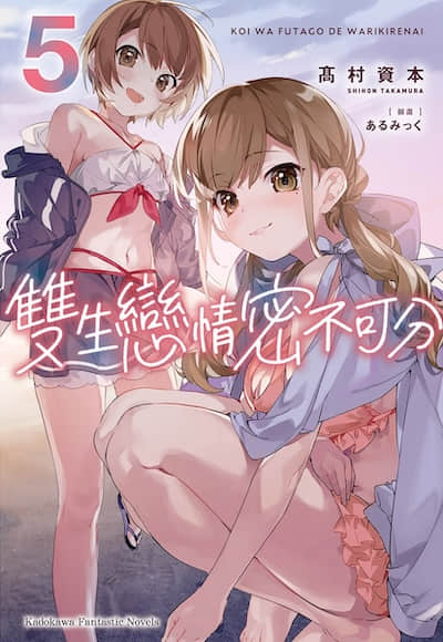 双生恋情密不可分封面