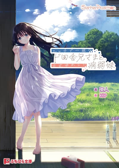 痴情哥哥与病弱妹妹的乡间生活封面