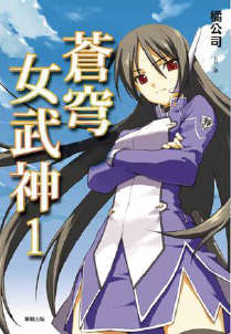 苍穹女武神封面