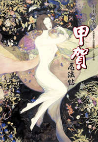 甲贺忍法帖封面
