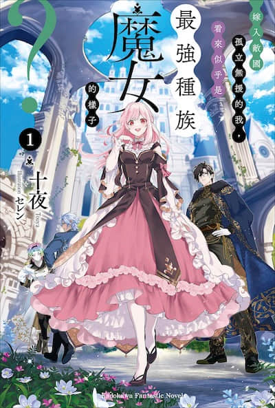 嫁入敌国孤立无援的我，看来似乎是最强种族魔女的样子？封面