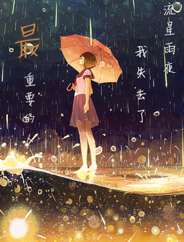 流星雨夜，我失去了最重要的人封面