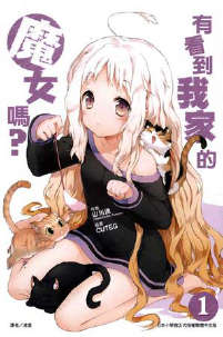 有看到我家的魔女吗？封面