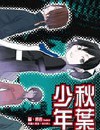 秋叶少年封面