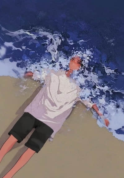 叶间泛起的阳光封面