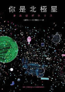 你是北极星封面