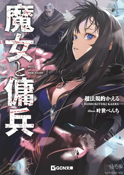 魔女与佣兵封面