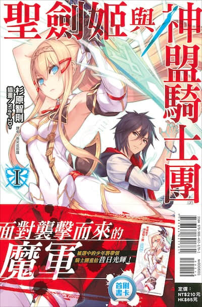 圣剑姬与神盟骑士团封面