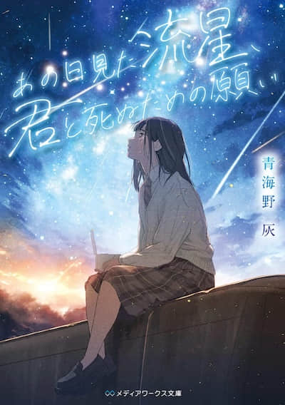 那天所见的流星，为与你一同死去的祈愿封面