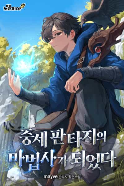 成为了中世纪幻想中的魔法师封面