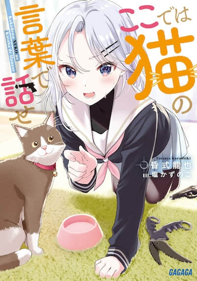 在这得说猫语封面