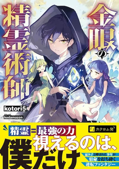 金眼的精灵术师封面