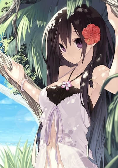 。。。。。。封面