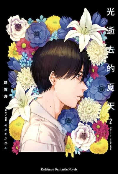 光逝去的夏天封面