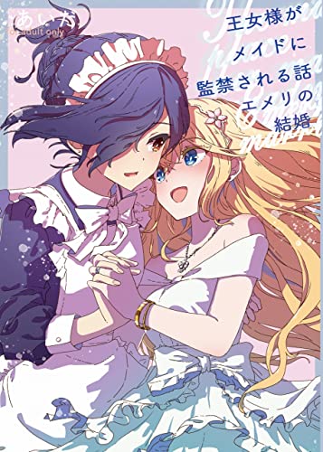 公主被女仆监禁的故事封面