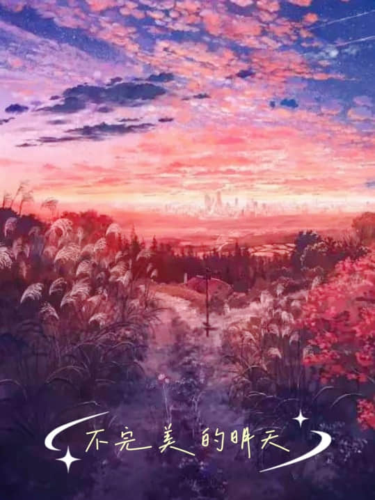 不完美的明天封面
