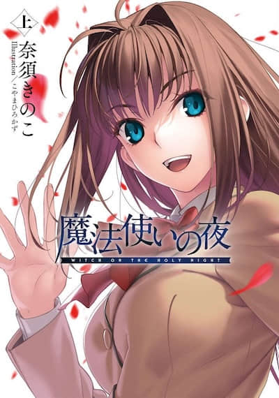 魔法使之夜 小说封面