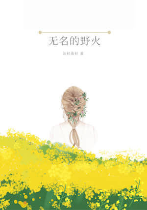 无名的野火封面