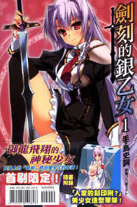 剑刻的银乙女封面
