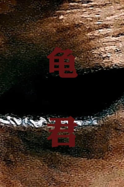 龟君封面