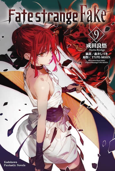 Fate/Strange Fake封面
