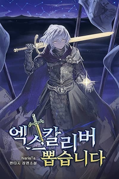 拔出圣剑封面