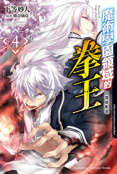 魔术学园领域的拳王封面