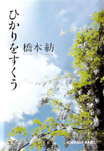 掬光封面