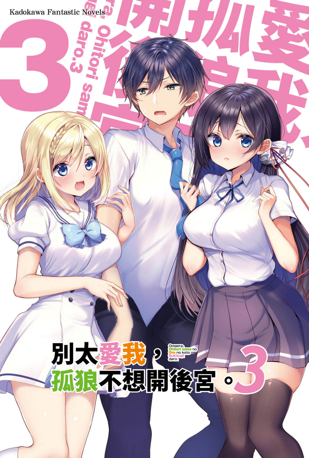 別太愛我，孤狼不想開後宮。小說插圖（45）
