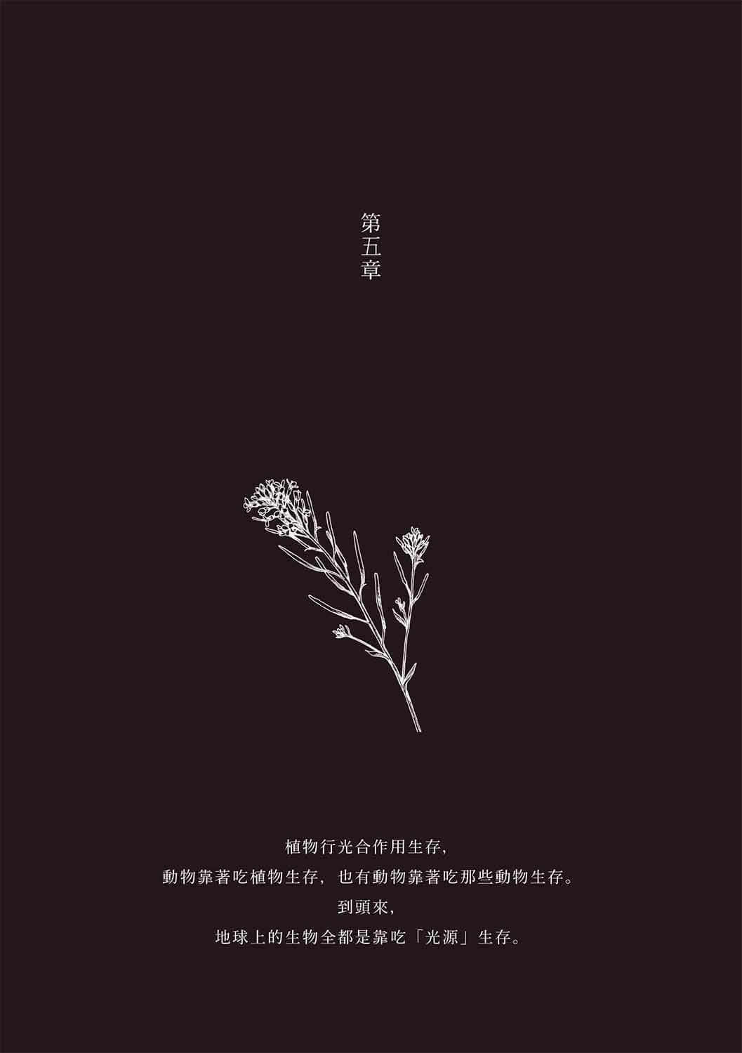 没有爱的世界小说插图（3）