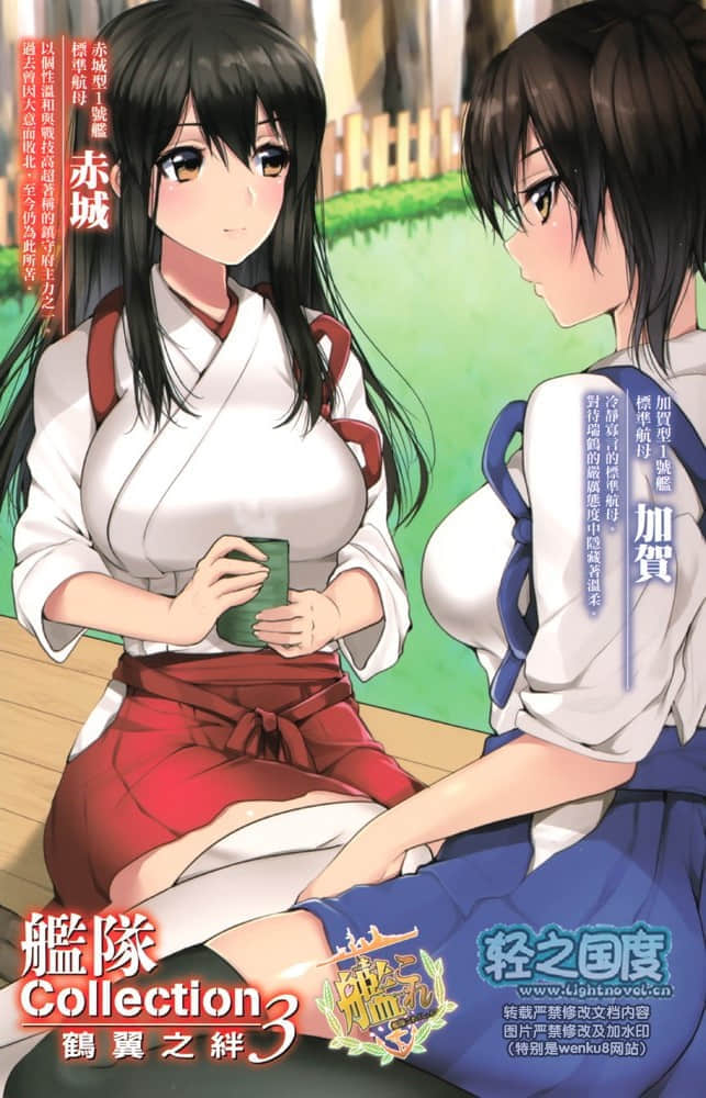 舰队Collection 鹤翼之绊小说插图（34）