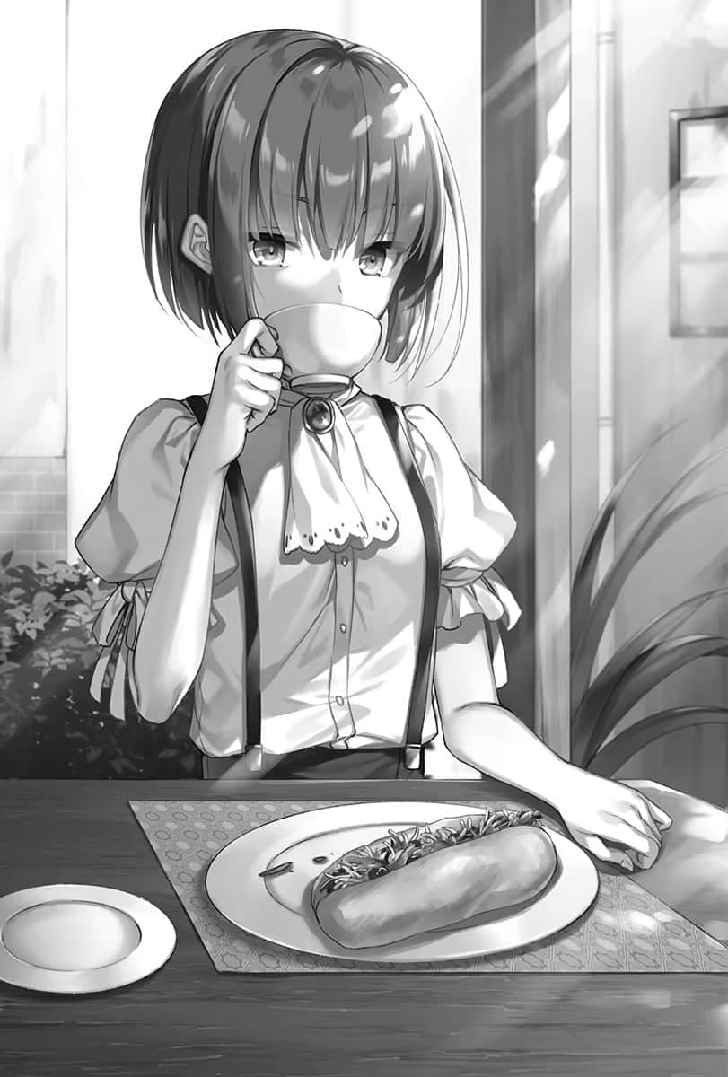 《飞翔吧!战机少女》9 插图(9)