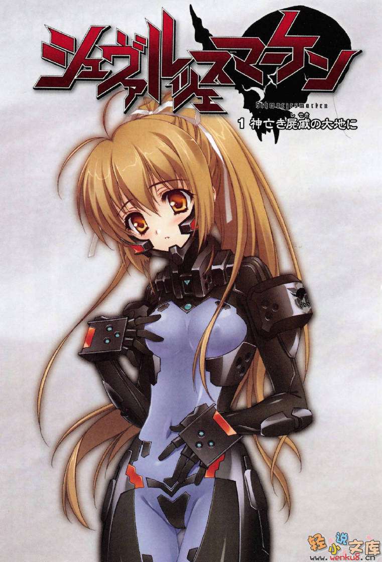 《MUV-LUV Schwarzes marken》1 插图（2）