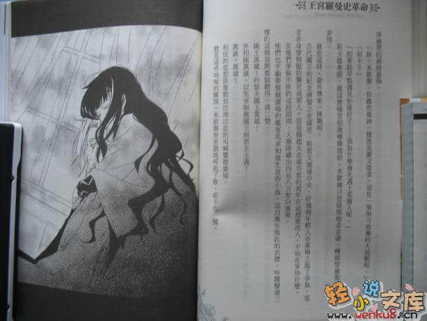 王宫罗曼史革命小说插图（38）