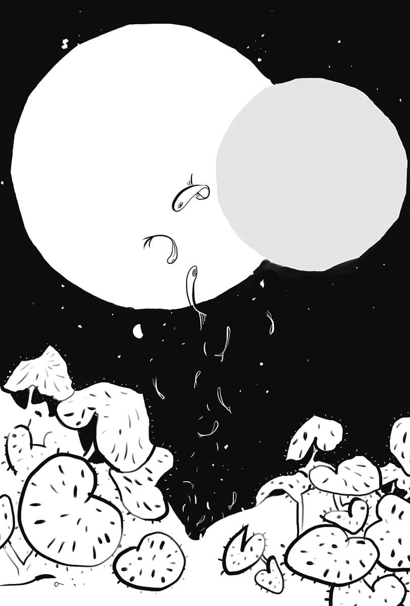 边境的老骑士小说插图（11）
