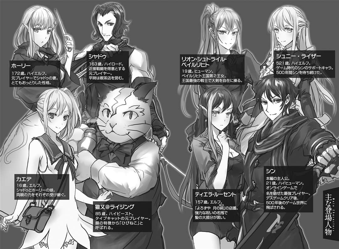 THE NEW GATE小说插图（60）
