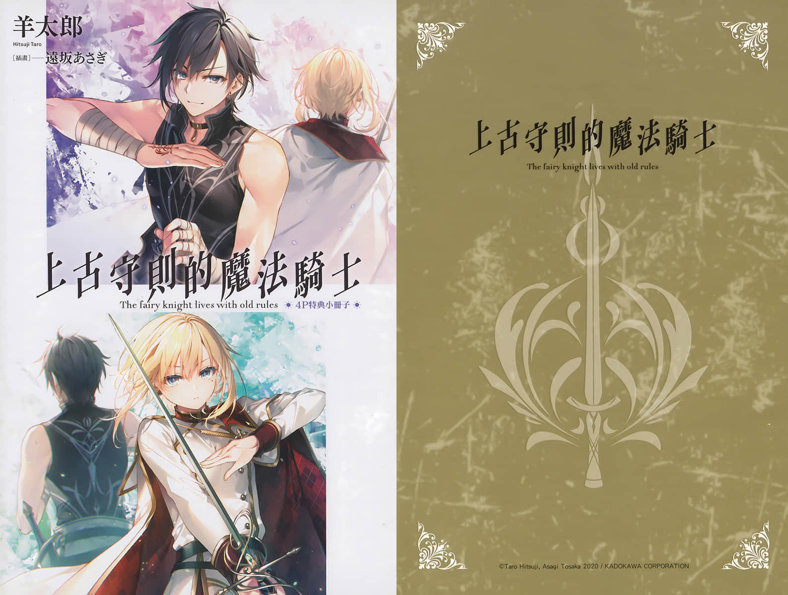 《上古守则的魔法骑士》1 插图（20）