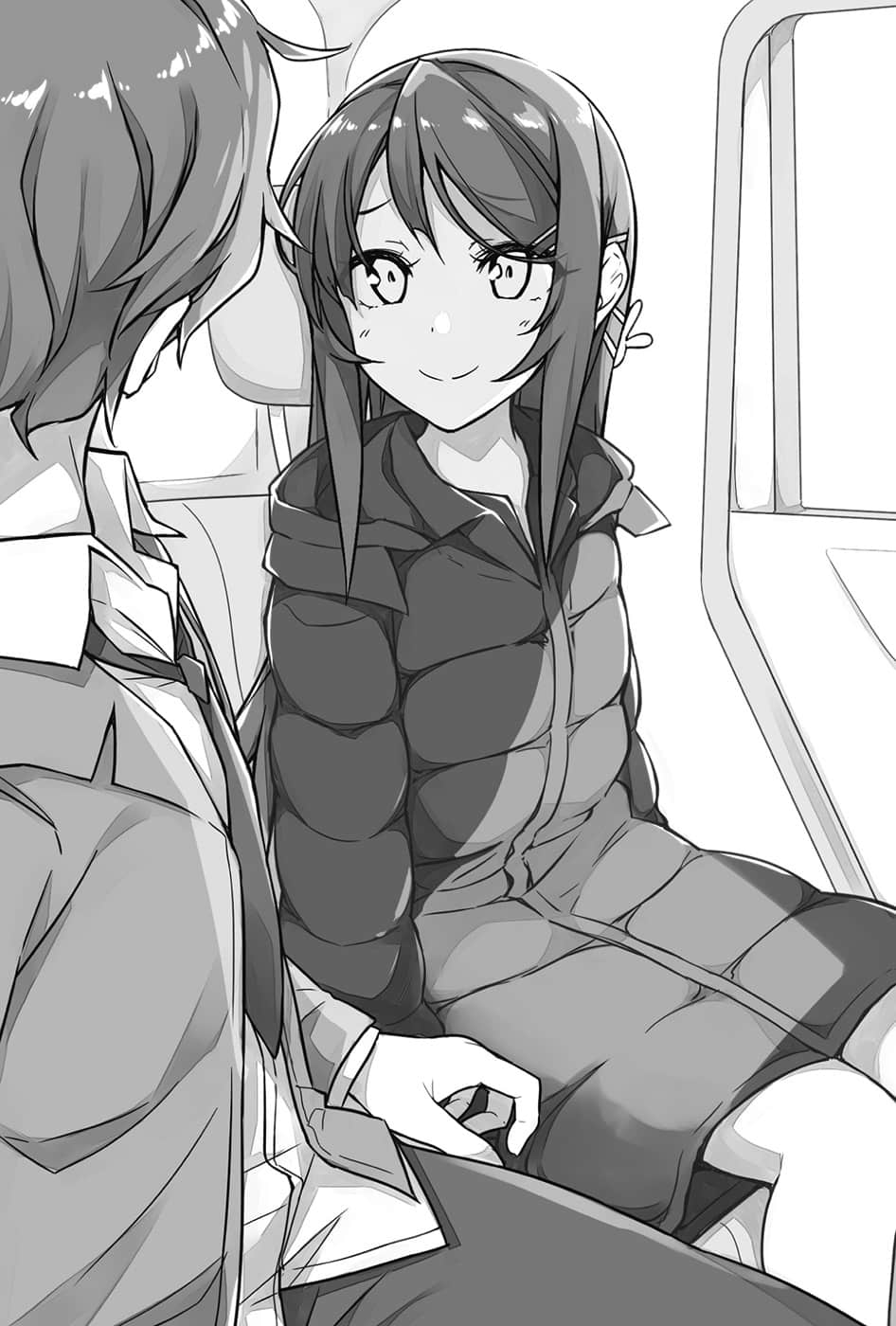《青春猪头少年》6 青春猪头少年不会梦到怀梦美少女 第一章 少N描绘的梦想形式插图（3）