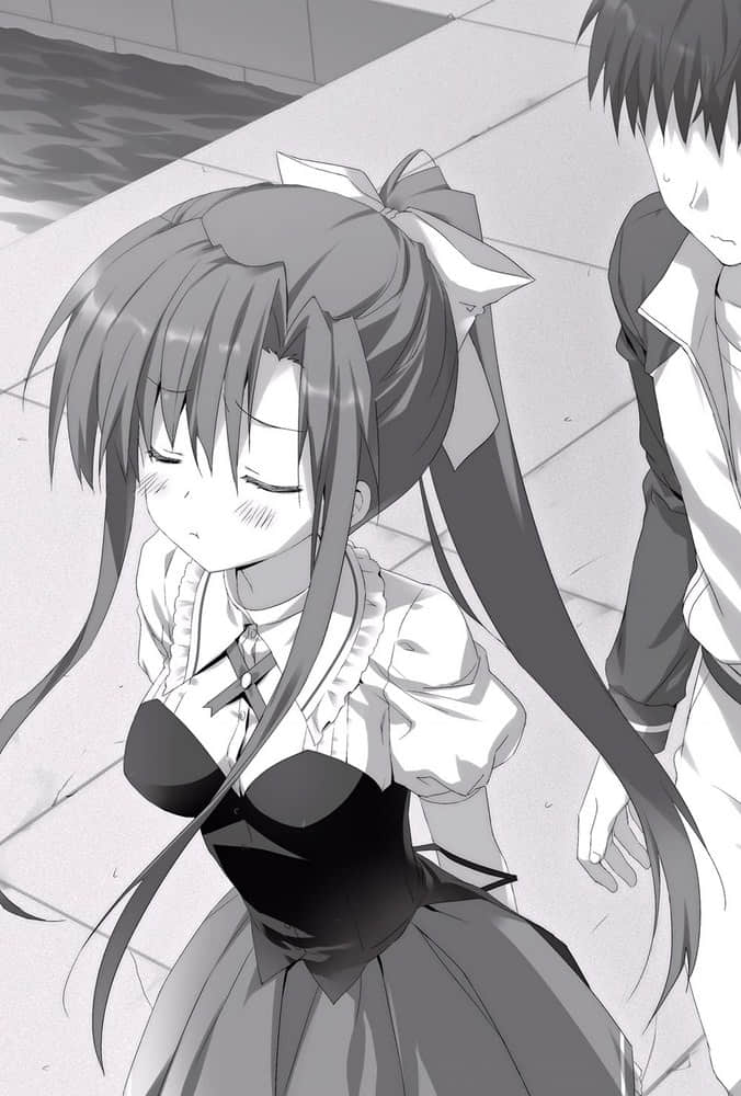 《绝对双刃absolute duo》11 Jeg kan lide dig, 插图（10）