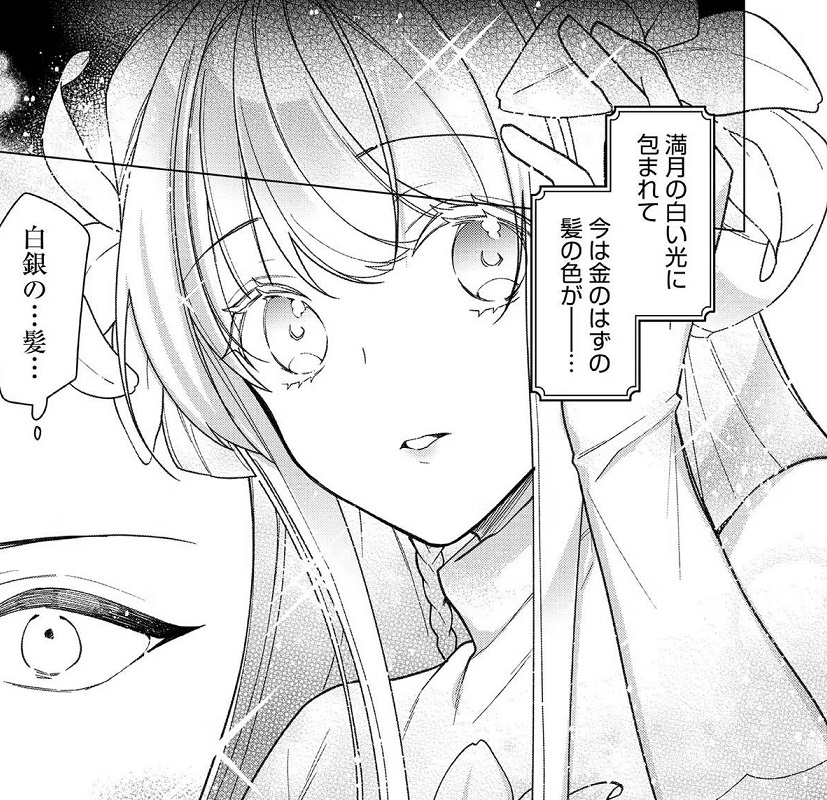 《女主角？ 聖女？ 不，我是全業女僕（自豪）！》1 第26話 月下的真實插圖（1）