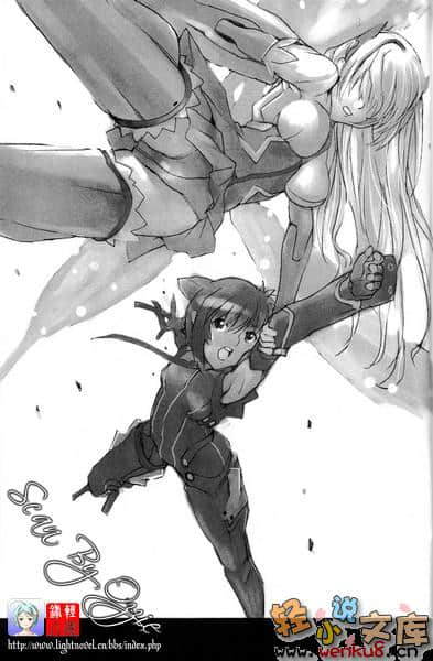 特甲少女小說插圖（56）