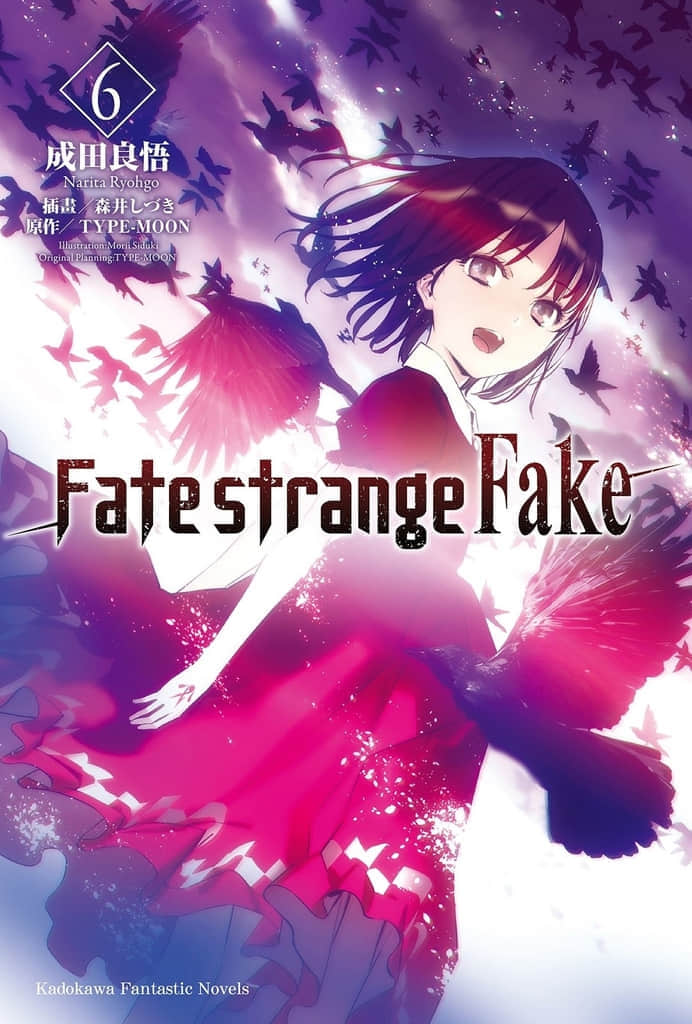 Fate/Strange Fake小说插图（68）