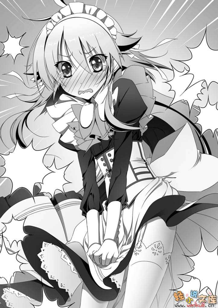舞风的铠姬小说插图（18）