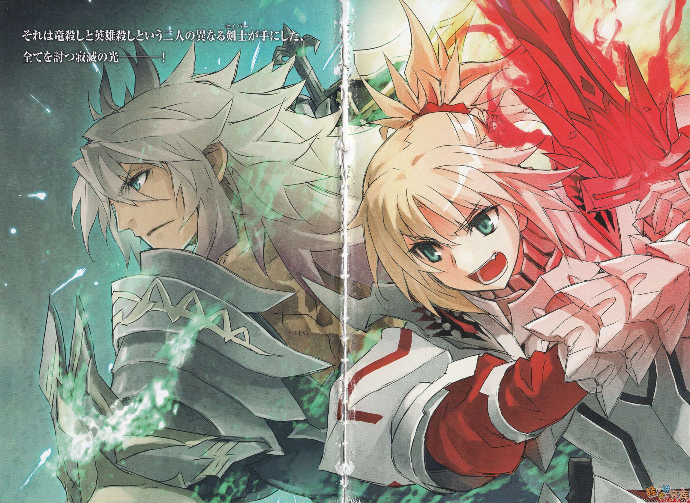 Fate Apocrypha小说插图（69）